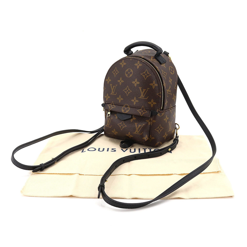 Louis Vuitton Monogram Palm Springs Backpack Mini Rucksack - Picture 7 of 8
